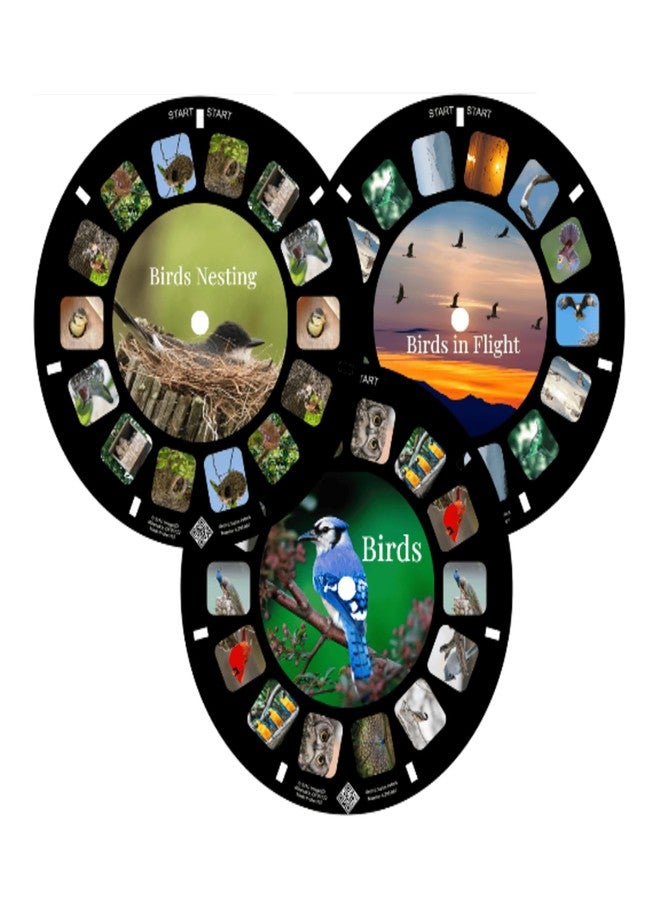 MayKo Bird Reels for Viewfinder Compatible View Master Viewers. Set of 3 (Reels Only) - Image 1